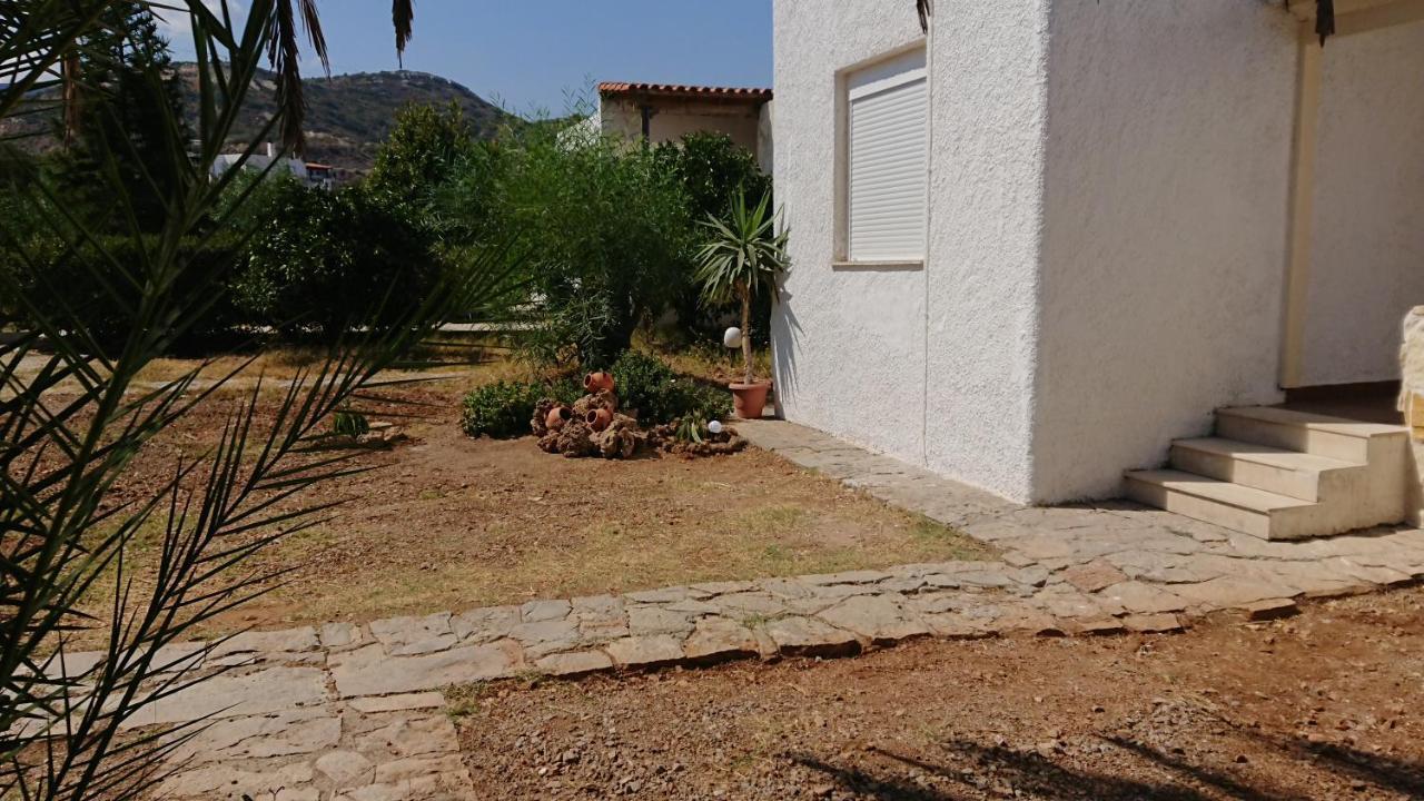 Villa Trypitos Sitia  Eksteriør billede